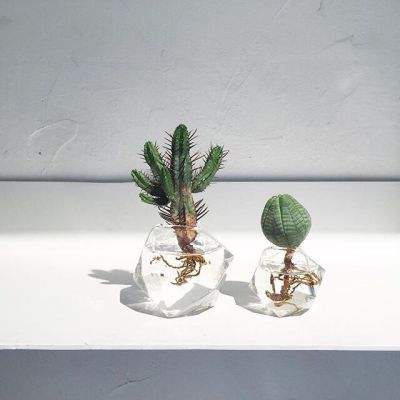 蒸汽朋克卡车赛